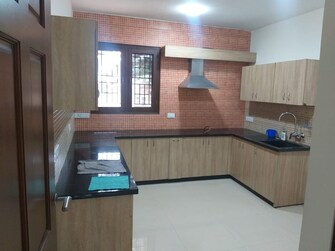 4 BHK Apartment For Rent in Sterling North Sadashiva Nagar Bangalore  7794553