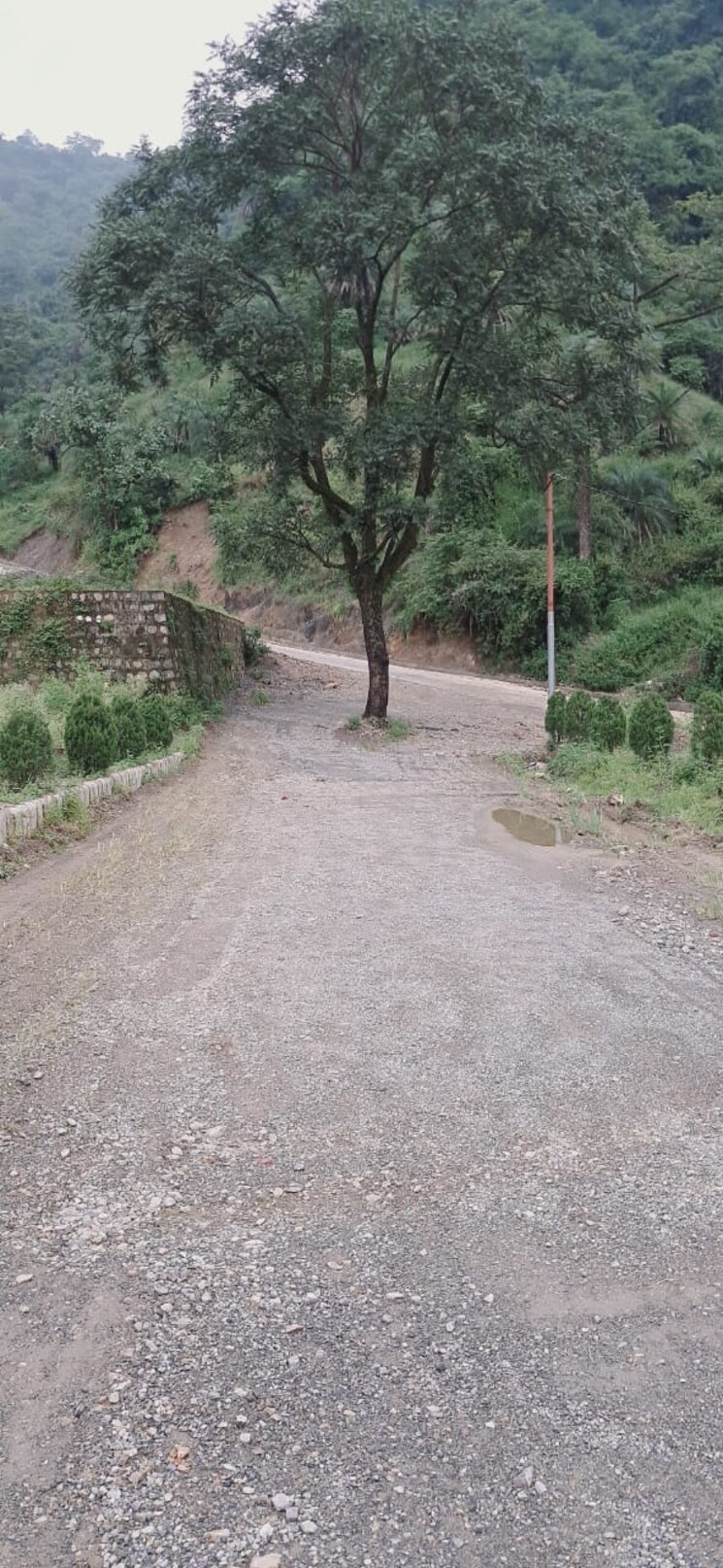 undefined, sahastradhara  610 Sq.Yd. Plot In Sahastradhara Dehradun 7794654