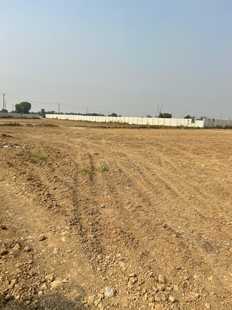 Plot For Resale in Shadnagar Hyderabad  7794845