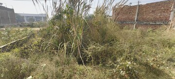 Plot Area in  Plot at Golden Park Achheja, Achheja – for Sale