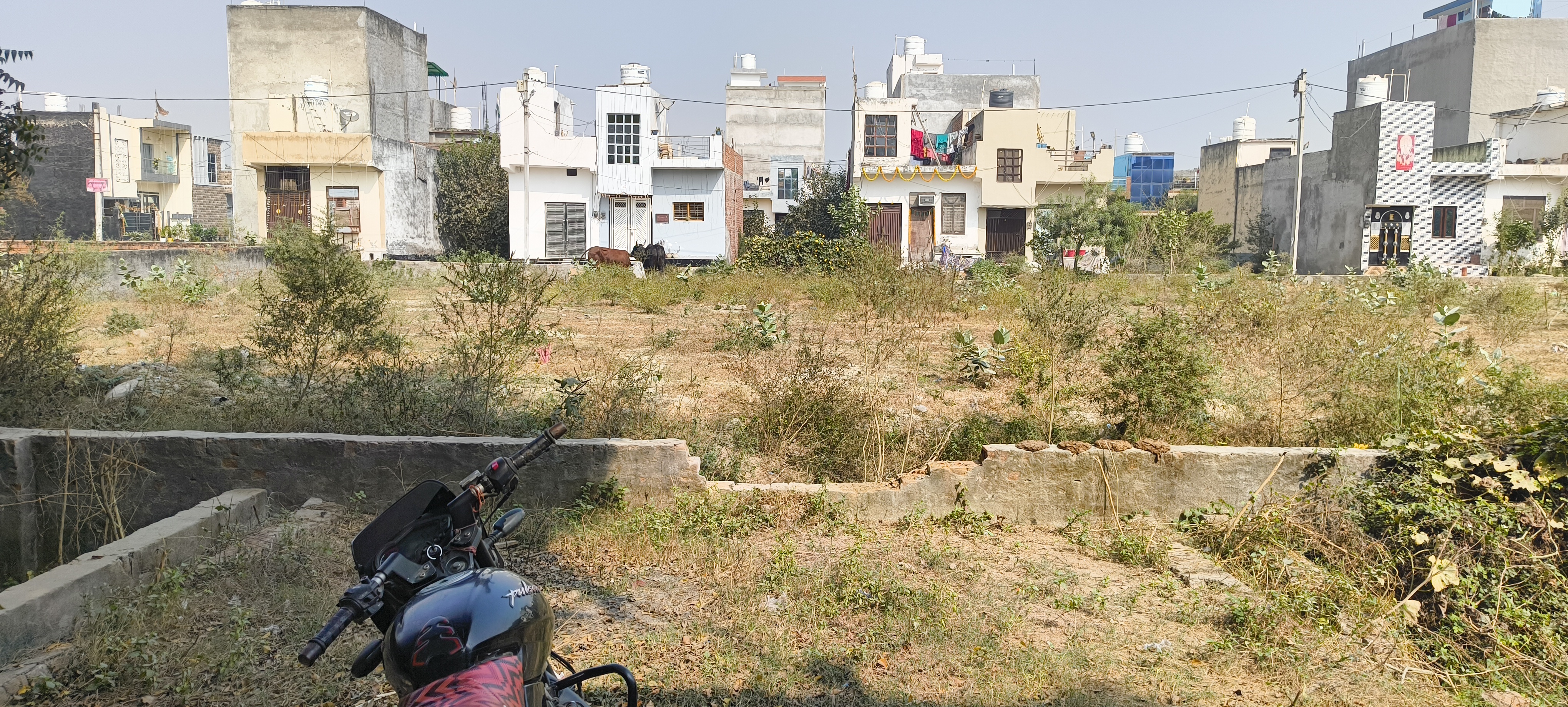 Plot For Resale in Upsidc Site B Greater Noida  7795041