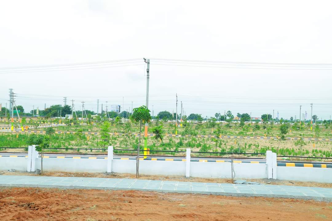 Plot For Resale in Vijayawada Highway Hyderabad  7795058