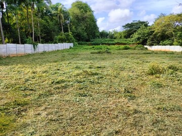 Plot Area in  Plot at Pathiripala – for Sale
