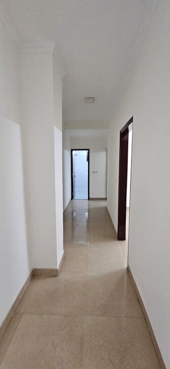 3 BHK Apartment For Rent in Malviya Nagar Delhi  7795272