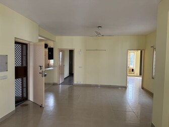 3 BHK Apartment For Rent in Pioneer Park Phase 1 Sector 61 Gurgaon  7795601