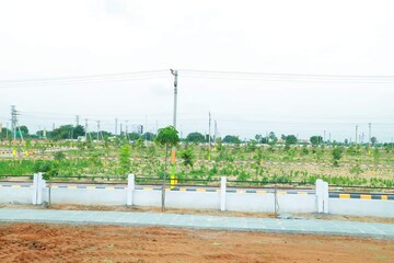 Plot Area in  Plot at Nagole – for Sale