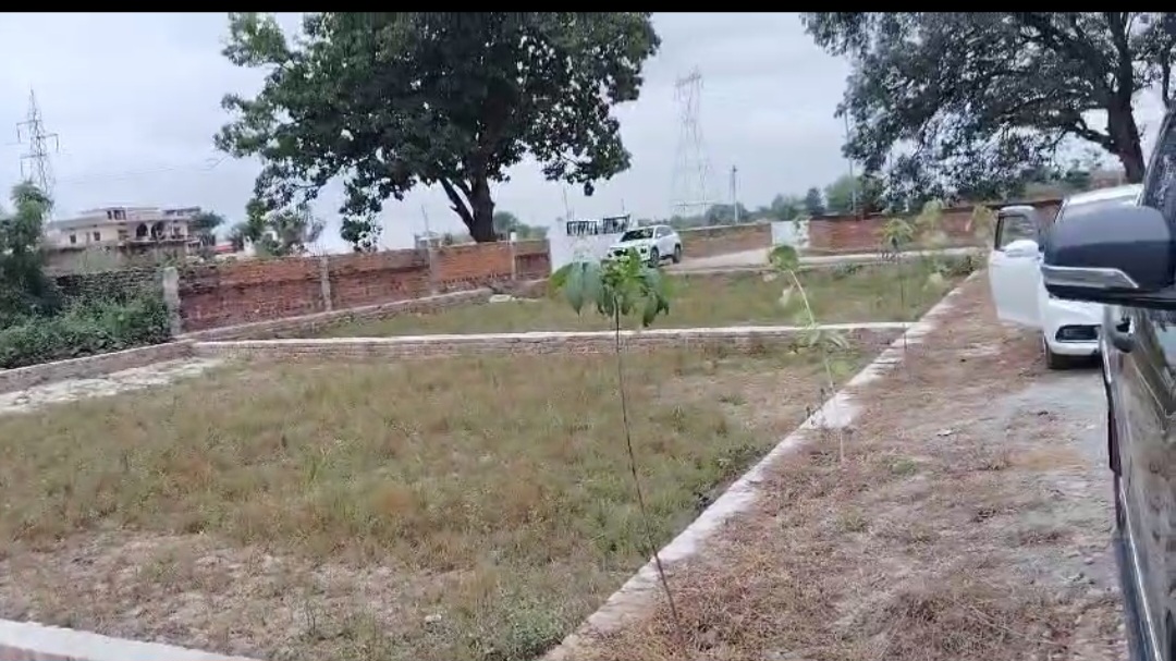 Plot For Resale in Sarnath Varanasi  7796301