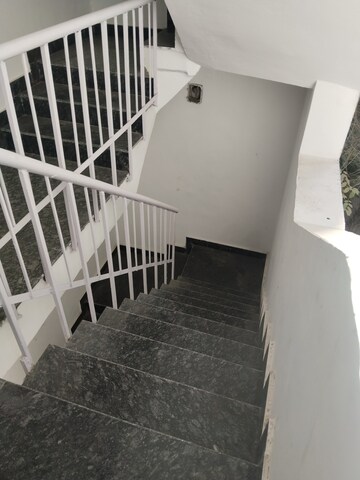 3 BHK Builder Floor For Sale in Saket