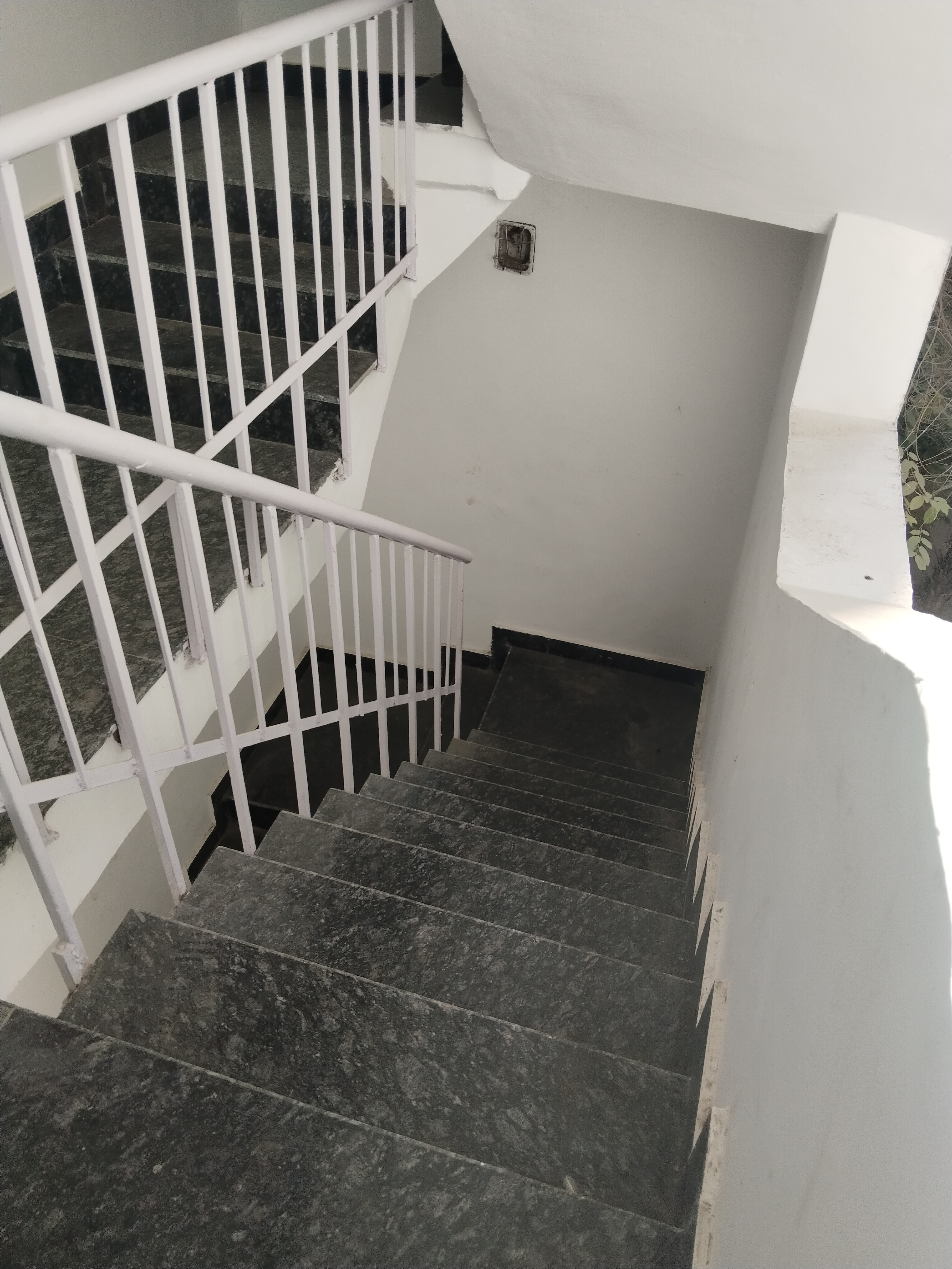 3 BHK + Extra Room Builder Floor For Sale in Saket