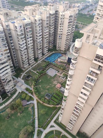 3 BHK Builder Floor For Rent in Mahagun Mezzaria Sector 78 Noida  7796594