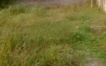 Plot For Sale in Swaran Jayanti Puram