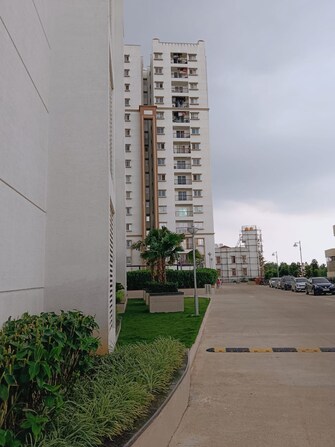 3 BHK Apartment For Resale in Aparna Maple Hegde Nagar Bangalore  7796790