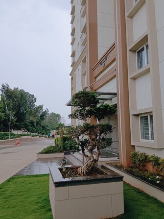 3 BHK Apartment For Resale in Aparna Maple Hegde Nagar Bangalore  7796790