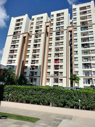 3 BHK Apartment For Resale in Aparna Maple Hegde Nagar Bangalore  7796790