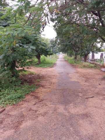 Plot For Resale in Tatti Annaram Hyderabad  7797203