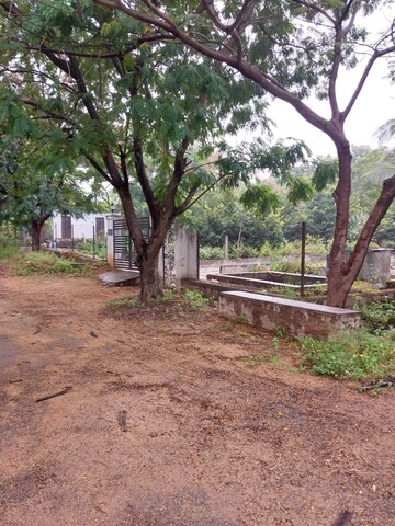  Plot For Sale in Tatti Annaram