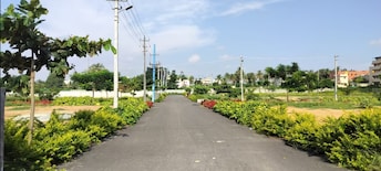 Plot For Resale in Anekal Bangalore  7797305