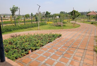 Plot For Resale in Neelanchal KNS Laurel Sarjapur Road Bangalore  7797452