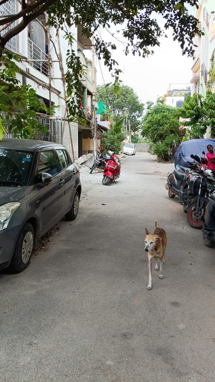 Exterior View, ramamurthy nagar  950 Sq.Ft. Plot In Ramamurthy Nagar Bangalore 7797542