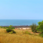 10000 Sq.Yd. Plot in Adgaon Beach 3 km