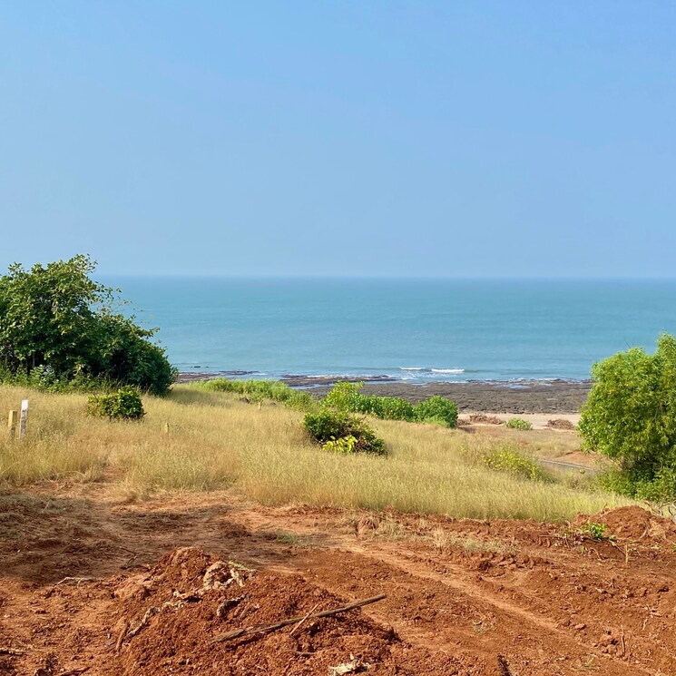 undefined, shrivardhan  10000 Sq.Yd. Plot In Shrivardhan Raigad 7797846