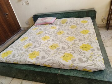1.5 BHK Apartment For Rent in Arun Vihar Sector 37, Sector 37