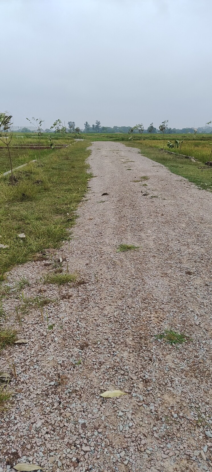 Map Location, ramnagar  1270 Sq.Ft. Plot In Ramnagar Varanasi 7798456