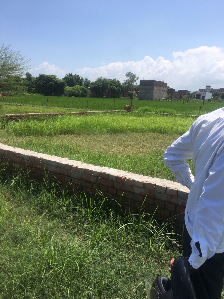 Garden, ramnagar  1270 Sq.Ft. Plot In Ramnagar Varanasi 7798456