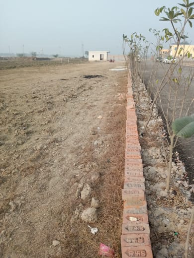 Plot For Sale in Jewar City 