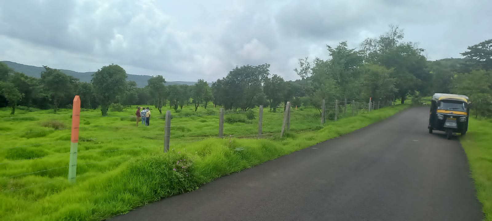 Plot For Resale in Mangaon Raigad  7798580