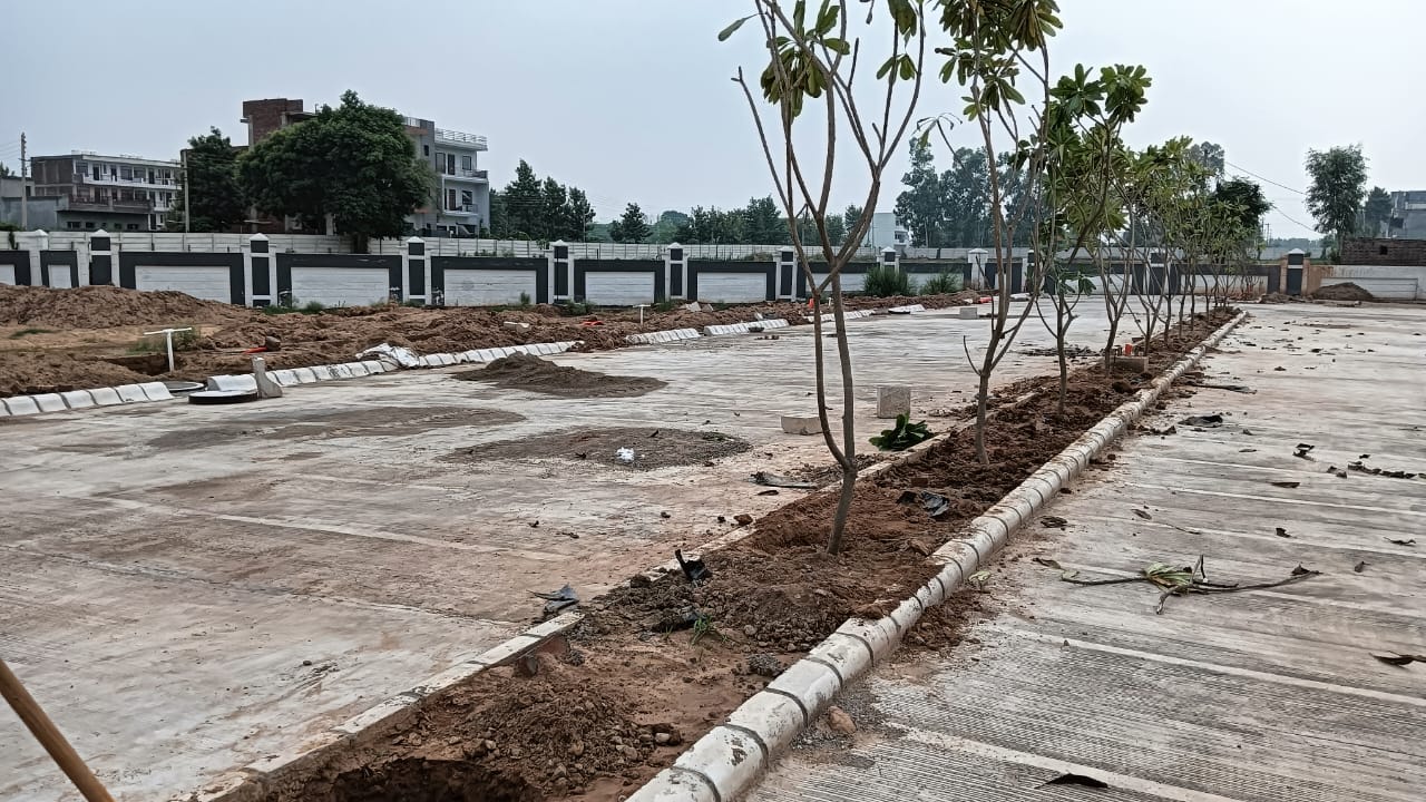 Plot For Resale in Panchkula Urban Estate Panchkula  7798679