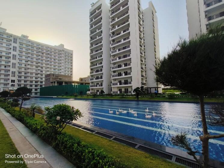 Swimming Pool, central-park-flower-valley-aqua-front-towers 4 Bedroom 2600 Sq.Ft. Apartment In Sohna Sector 33 Gurgaon 7798754