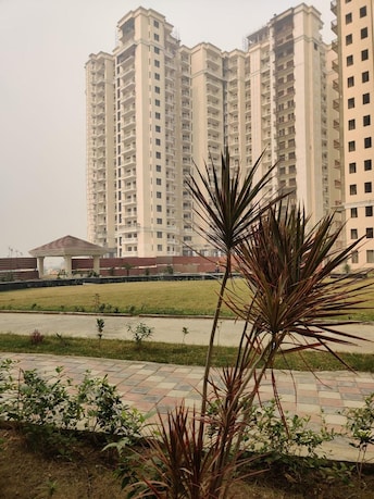 2 BHK Apartment For Resale in Capital Athena Noida Ext Sector 1 Greater Noida  7799213