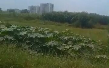 Plot For Sale in Madhuban Bapudham
