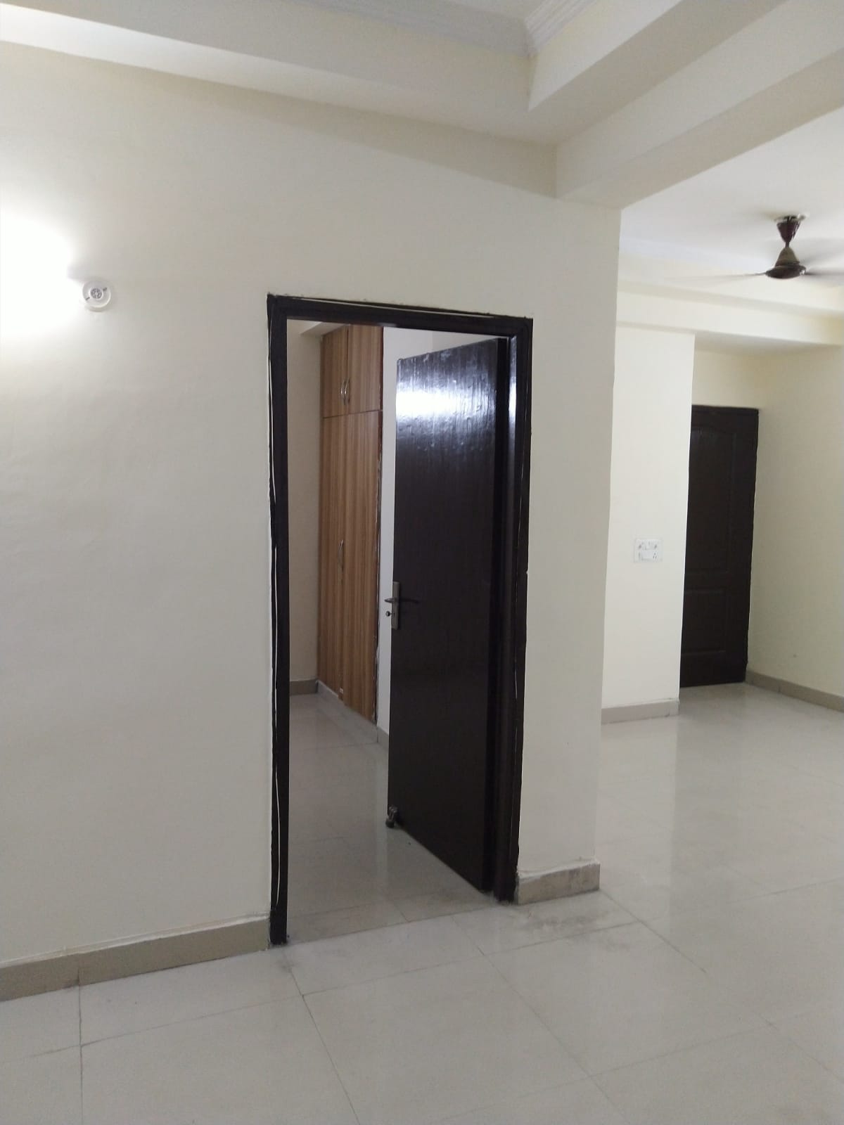 2 BHK Builder Floor For Rent in RWA Apartments Sector 40 Sector 40 Noida  7799699