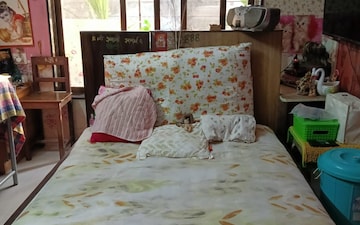 1 BHK Apartment For Sale in Vijay Garden, Ghodbunder Road