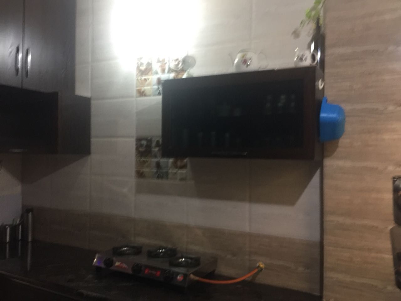 1 BHK Apartment For Rent in Sector 46 Gurgaon  7801172