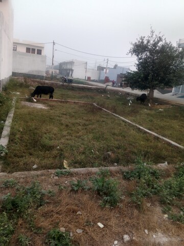 Plot Area in  Plot at Mawana – for Sale