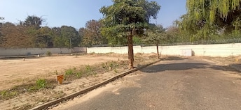 Plot For Resale in Reliaable The Signature At South Hosa Road Bangalore  7801783