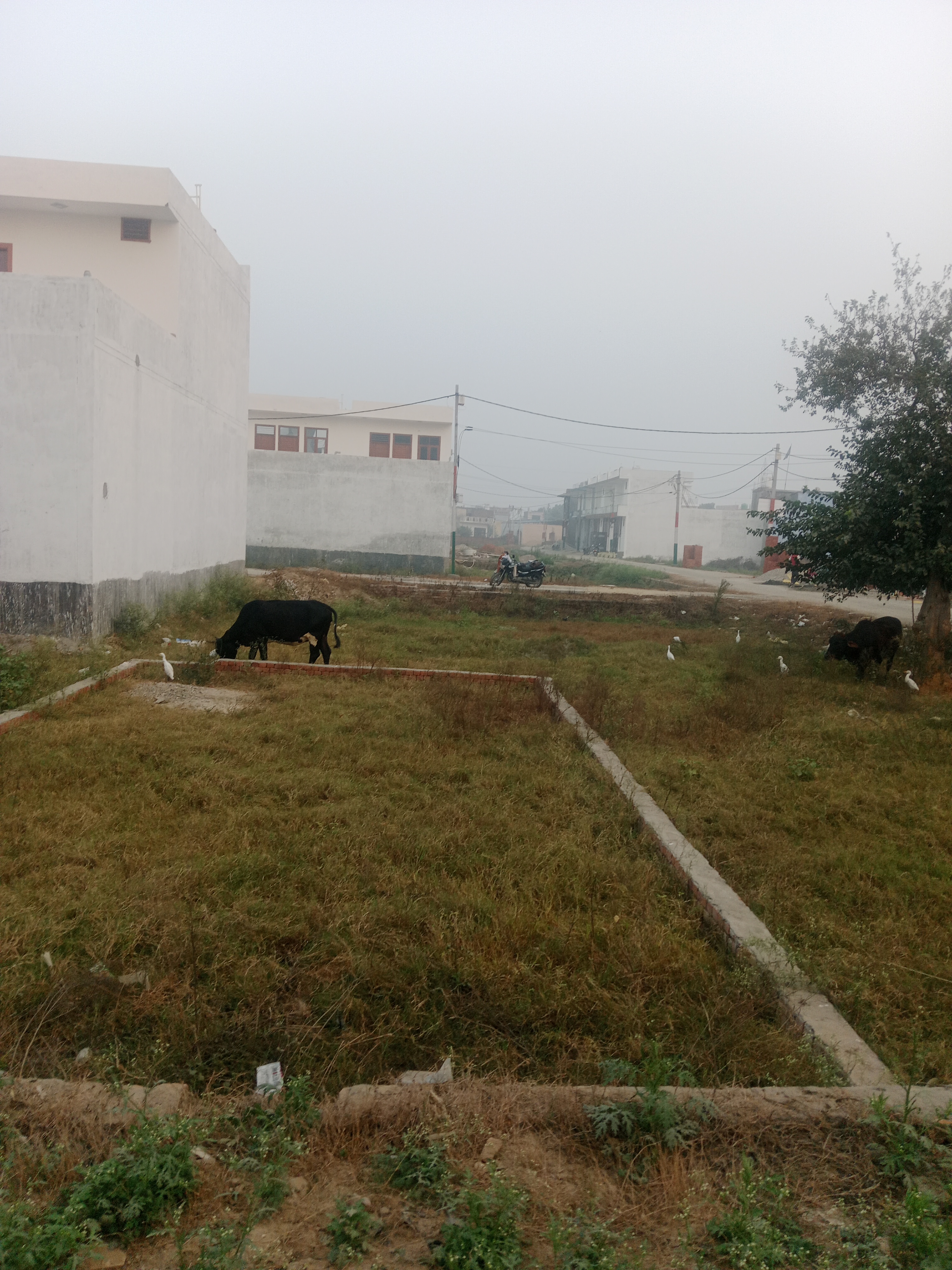 Plot For Sale in Vem Mawana Road Meerut 