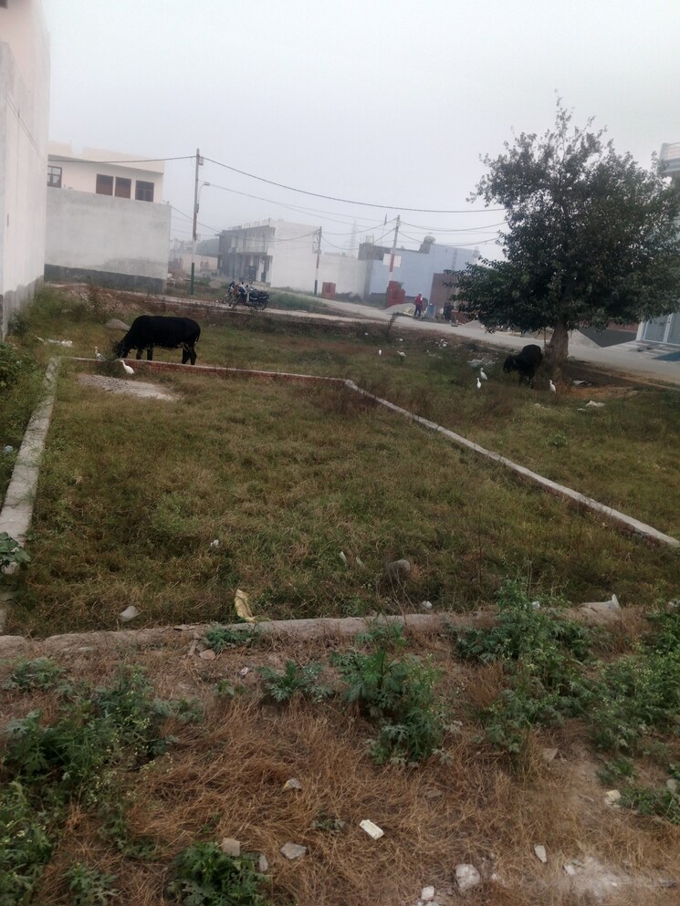 undefined, mawana  110 Sq.Yd. Plot In Mawana Meerut 7801799