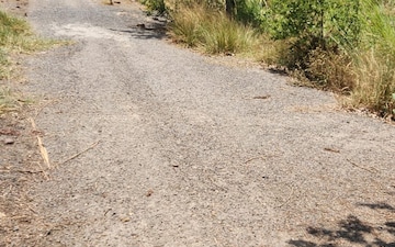 Plot For Sale in Gaur Yamuna City 6th Park View, Gaur Yamuna City