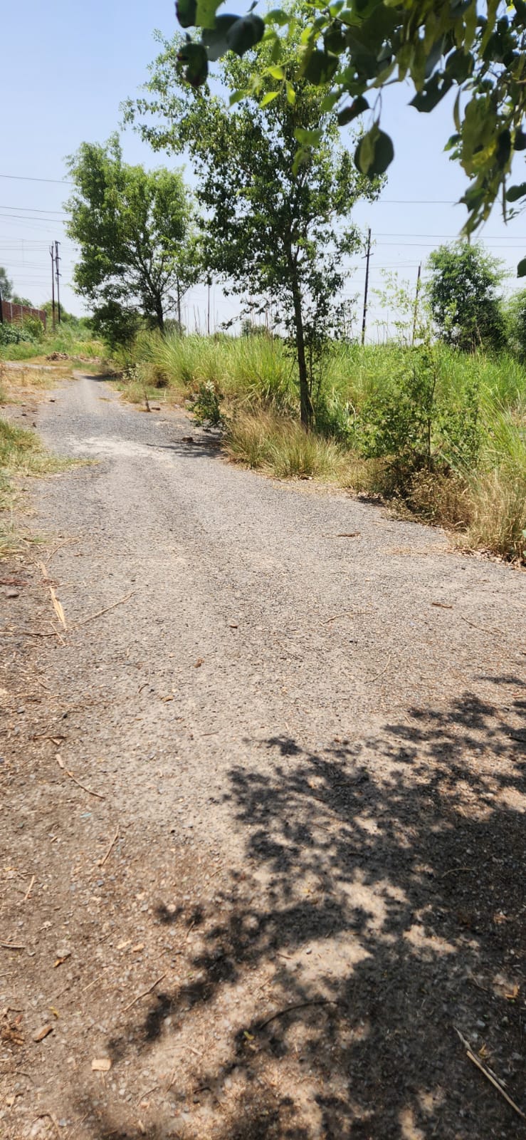 Plot For Sale in Gaur Yamuna City 6th Park View