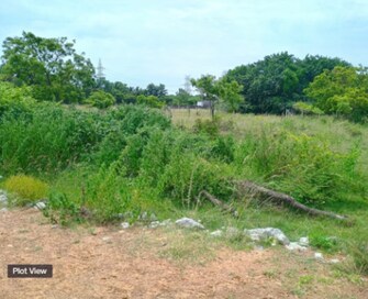 Plot For Resale in Thandalam Chennai  7801797