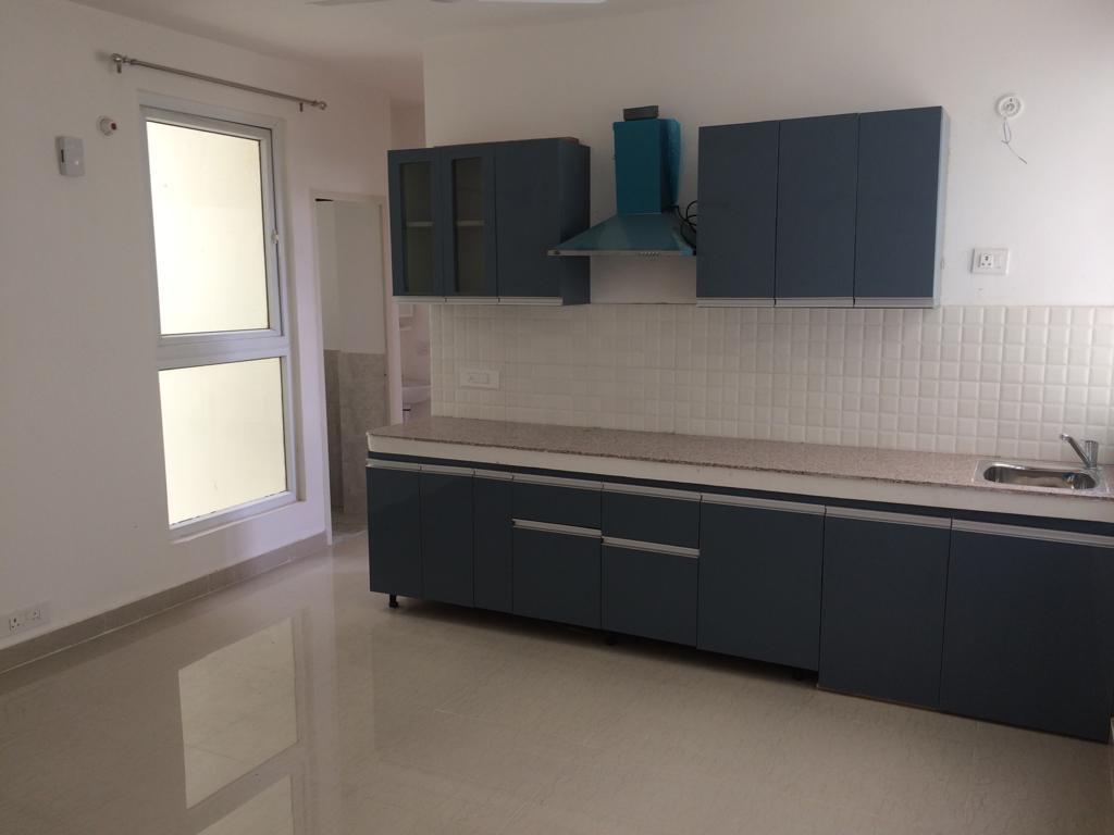 2 BHK Apartment For Rent in Tulip Lemon Sector 69 Gurgaon  7802452