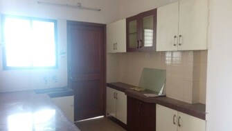 3 BHK Apartment For Resale in Shankar Nagar Nagpur  7802468