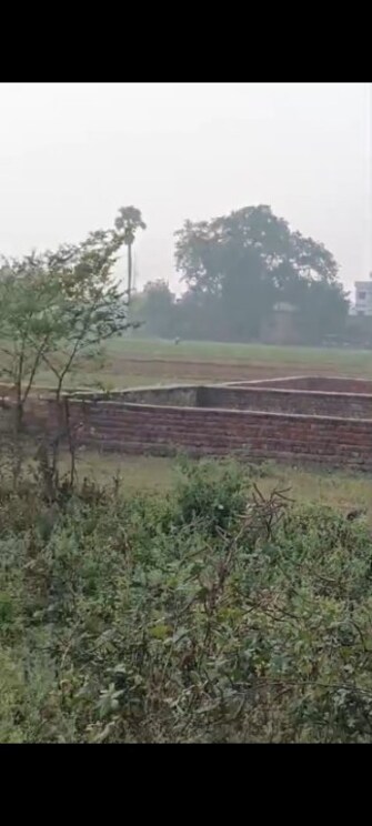 Plot For Resale in Manpur Patwatoli Gaya  7802814