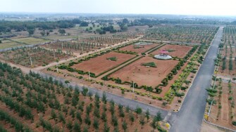 Plot For Resale in Vikarabad Hyderabad  7802898