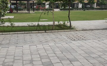 Plot For Sale in Amolik Aster Woods, Sector 98