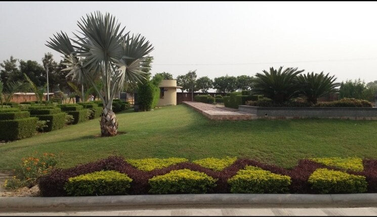 Garden, attalika-palms  1500 Sq.Ft. Plot In Mohanlalganj Lucknow 7803413